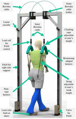 Development of split-force-controlled body weight support (SF-BWS) robot for gait rehabilitation